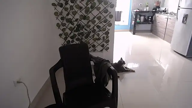 yohacriss online show from 12/16/25, 08:35