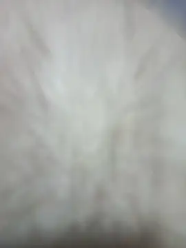 Jobson40 online show from 02/01/26, 05:49