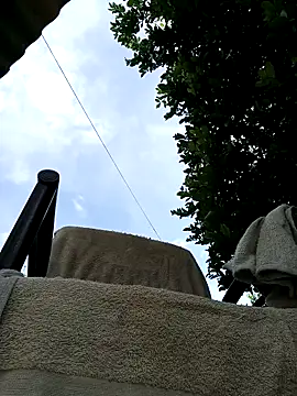 AlphaAlterX online show from 03/08/26, 08:12