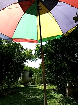 AlphaAlterX online show from 02/17/26, 07:22