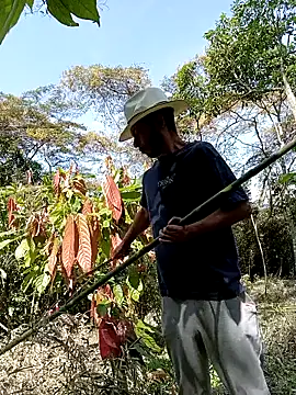 AlphaAlterX online show from 03/01/26, 03:01