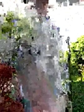 AlphaAlterX online show from 12/20/25, 12:30