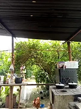 AlphaAlterX online show from 03/11/26, 06:13