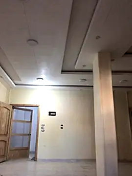 FlungBergenia online show from 12/18/25, 12:42