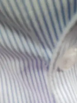 bingxin- online show from 12/19/25, 05:21