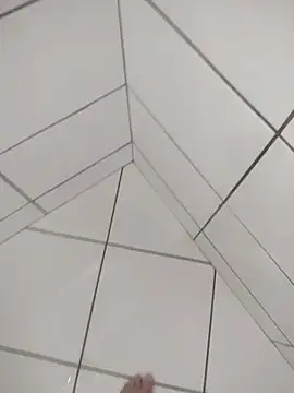 Novin23cms online show from 12/19/25, 04:09