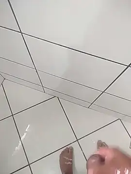 Novin23cms online show from 11/18/25, 07:28