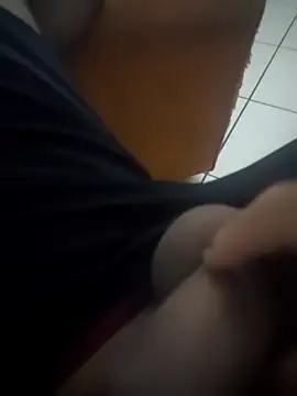 Novin23cms online show from 12/14/25, 05:13