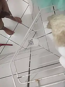 Novin23cms online show from 11/13/25, 11:30