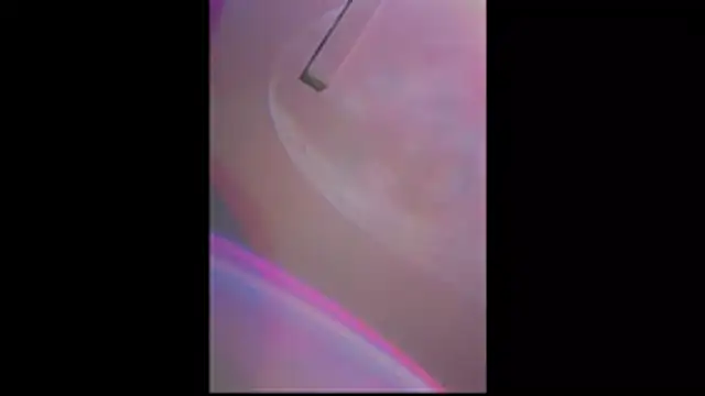 Squirtproffxh online show from 05/03/26, 05:38