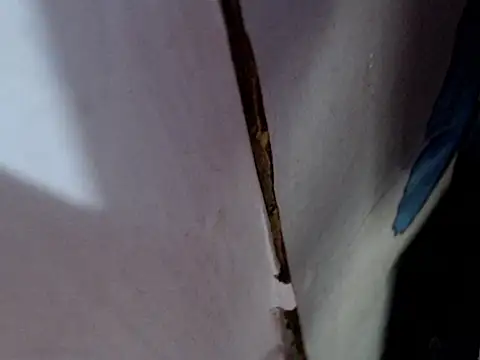 MissfrancesXxx online show from 03/07/26, 11:38