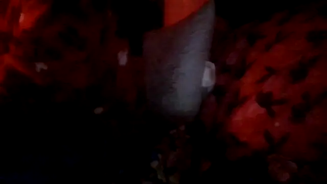 prettymaa online show from 10/01/25, 03:11