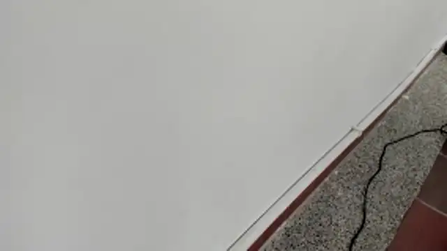 michelle perla online show from 01/15/26, 07:06