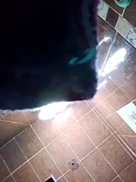 aispuro8505 online show from 11/28/25, 07:08