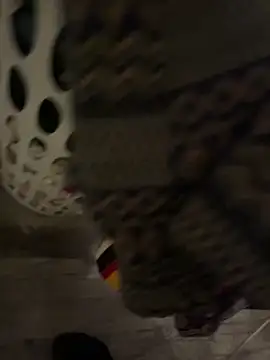 Snapshot of LanaAce719 chatting on 12/18/25, 05:34 LanaAce719 online show from 12/18/25, 05:34