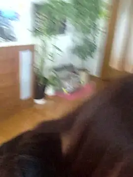 AYA dayo online show from 03/13/26, 12:48