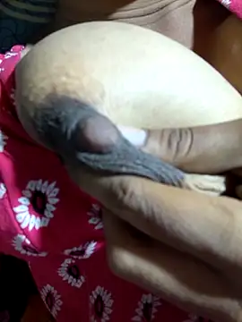 telugu roja 099 online show from 12/19/25, 01:46