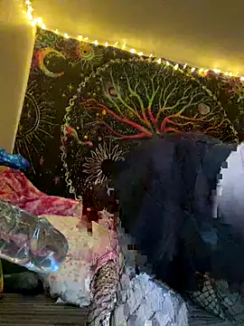 VickPicsVermillion online show from 11/21/25, 11:37