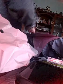 TigreBianca27 online show from 11/06/25, 03:49