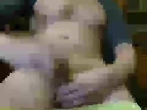 italian max sex online show from 11/21/25, 11:26