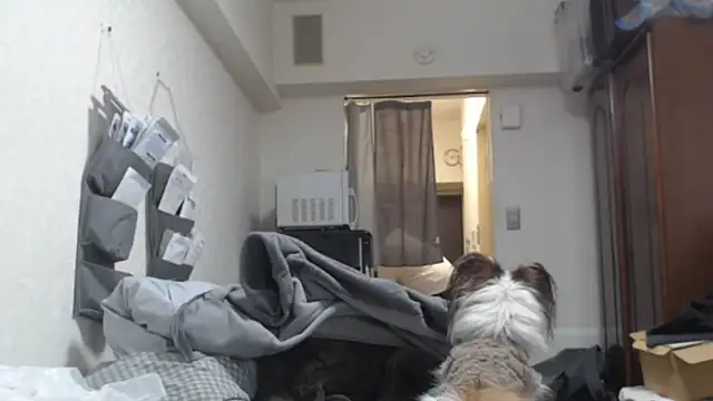 raterate555 online show from 03/05/26, 01:19