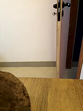 oconnnel online show from 12/14/25, 05:40