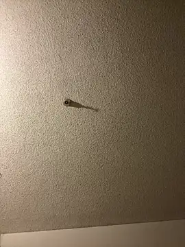 aurorasparkles online show from 09/24/25, 02:45