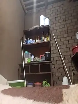 Gustavo1135e online show from 11/24/25, 02:33