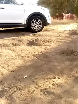 Snapshot of mikey209209fig chatting on 09/25/25, 03:18 mikey209209fig online show from 09/25/25, 03:18