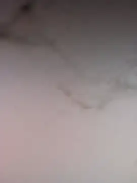 Rani sahiba online show from 07/16/26, 05:43