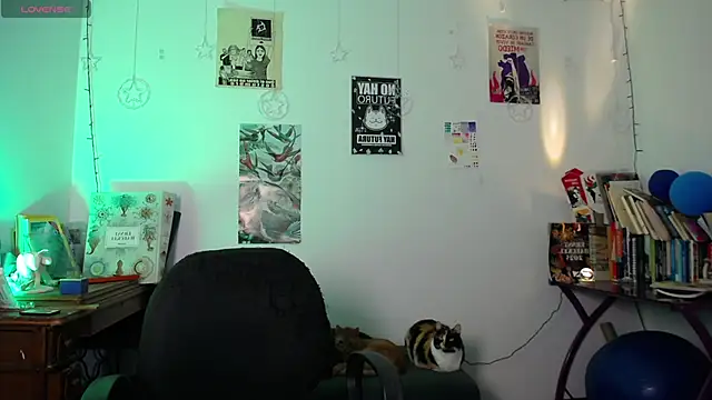 Snapshot of AlmaNanax chatting on 02/14/26, 01:17 AlmaNanax online show from 02/14/26, 01:17