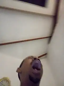 fitsexyman online show from 01/11/26, 08:49