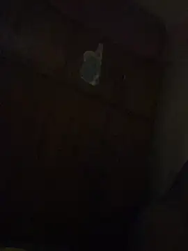 Snapshot of Kajal-Shemale69 chatting on 12/19/25, 01:09 Kajal-Shemale69 online show from 12/19/25, 01:09