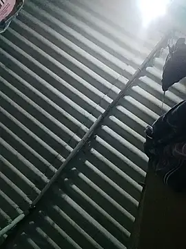 Tamilgud23 online show from 11/16/25, 04:23