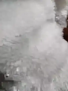 Snapshot of Tasu774 chatting on 11/26/25, 10:32 Tasu774 online show from 11/26/25, 10:32