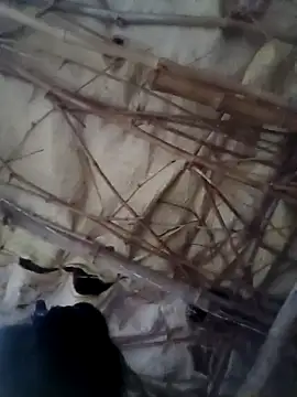 Sapna cutt online show from 10/14/25, 12:28