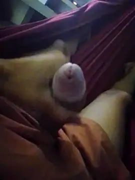 Holanda23cm online show from 04/13/26, 01:42