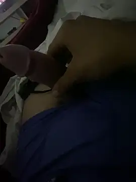 Holanda23cm online show from 12/16/25, 06:50