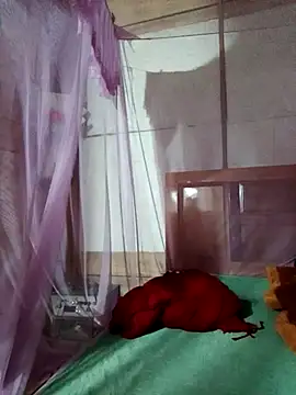 Snapshot of LucyyLy chatting on 10/24/25, 11:37 LucyyLy online show from 10/24/25, 11:37