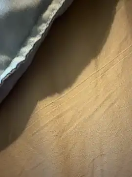 StudiedJoint85 online show from 11/24/25, 05:02