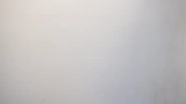 Tayler Kim online show from 09/24/25, 04:24