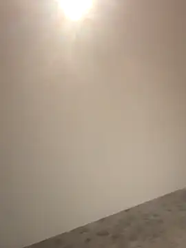 PayForThePaddy online show from 11/05/25, 11:30