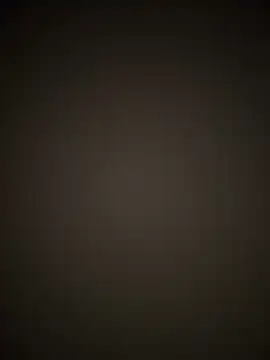 PayForThePaddy online show from 11/17/25, 11:53