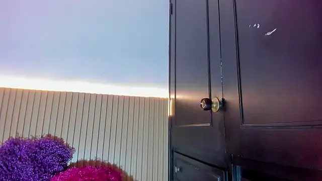 Snapshot of Alana_333 chatting on 12/17/25, 11:59 Alana 333 online show from 12/17/25, 11:59