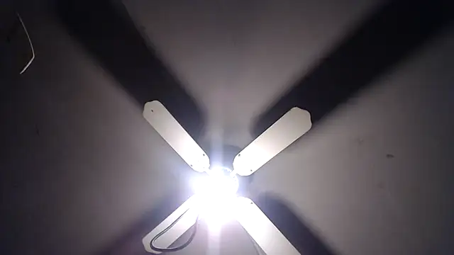 BiglovelyXXL online show from 11/23/25, 04:33