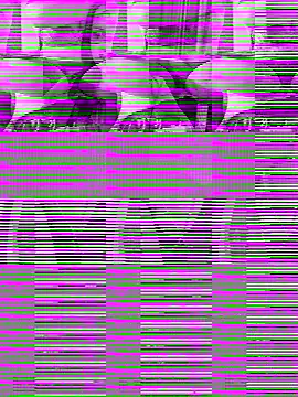 WWGD69 online show from 10/31/25, 11:40