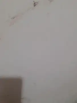 Sexy Mal89 online show from 12/16/25, 05:28