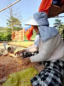 Tin tanny online show from 11/26/25, 08:14