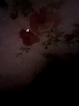 Snapshot of SummerArthur chatting on 09/30/25, 09:10 SummerArthur online show from 09/30/25, 09:10