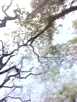 Hot rachnasexy online show from 04/12/26, 06:05